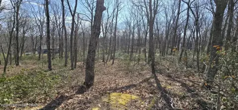 Wooded Homesite in Amenity-Rich Community