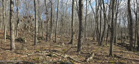 Residential Land in Amenity-Rich Community