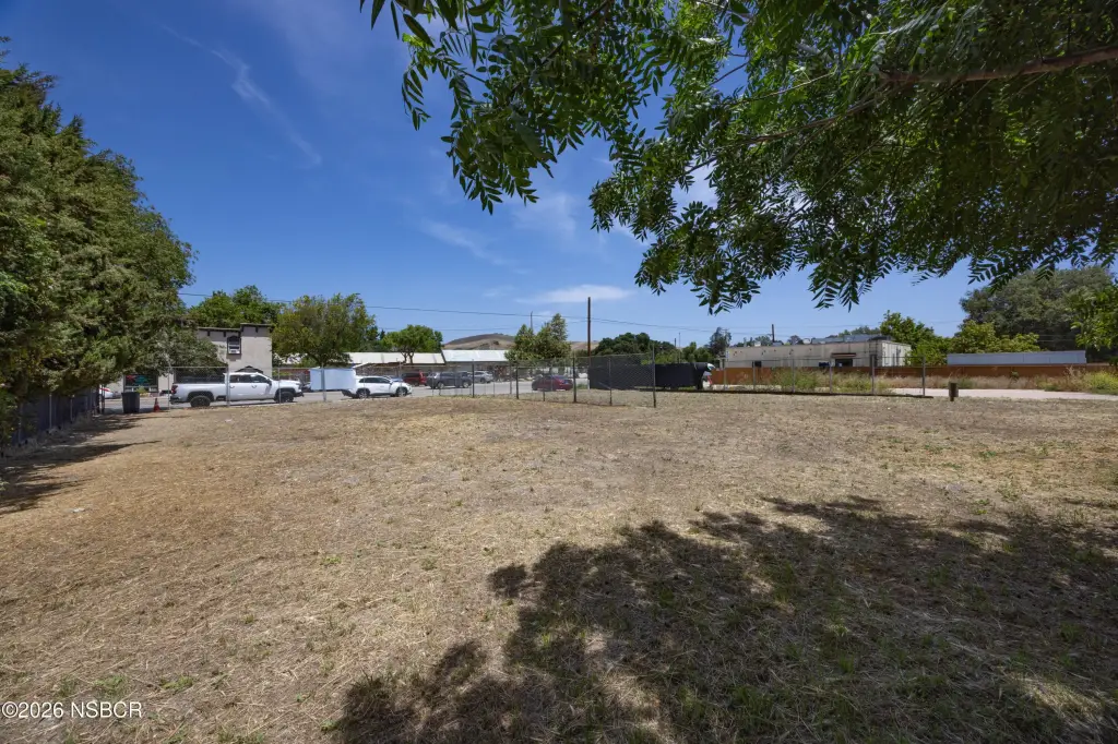 Picture 12