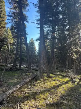 Seeley Lake Land for Sale