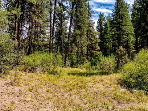 Idaho Mountain Land Opportunity