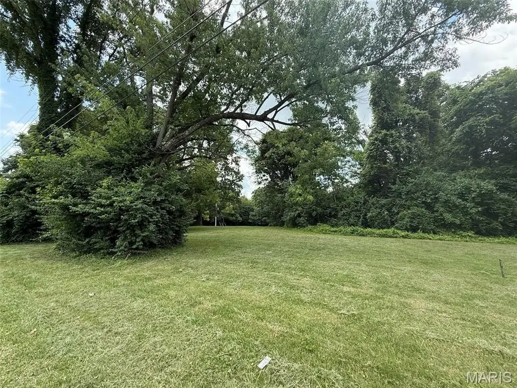 Picture 8