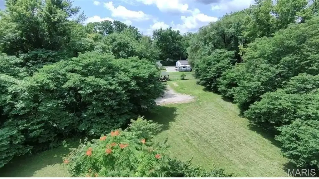 Picture 4