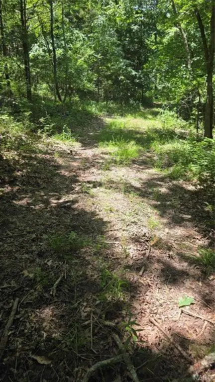 Picture 4