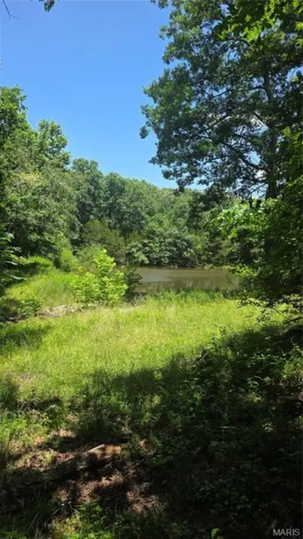 Picture 8