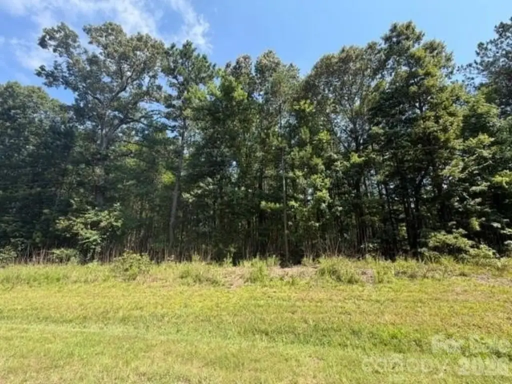 Picture 23