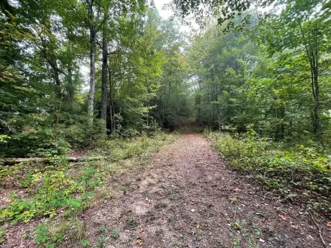 Wooded Lot in Gated Community