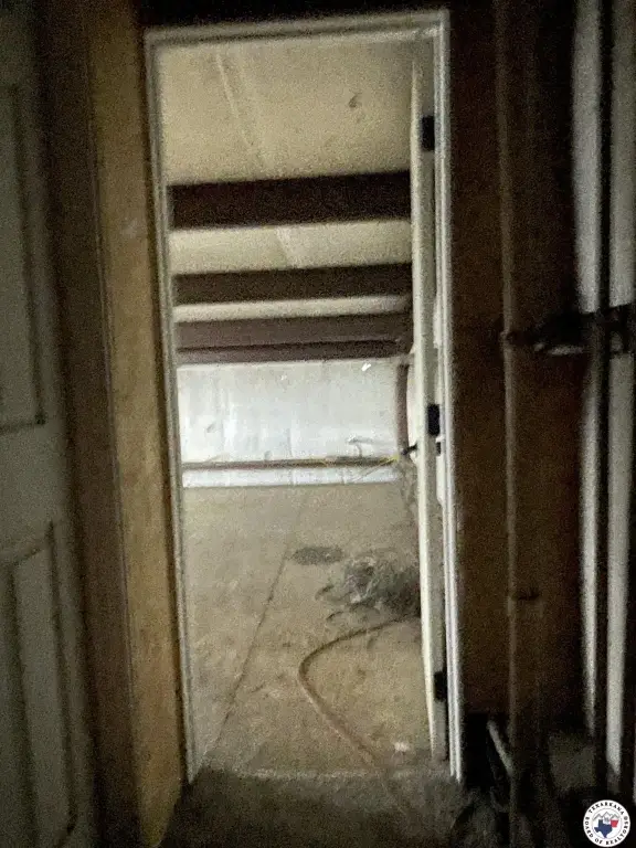 Picture 12