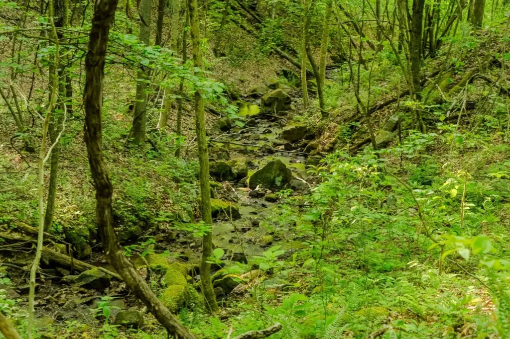 Picture 5