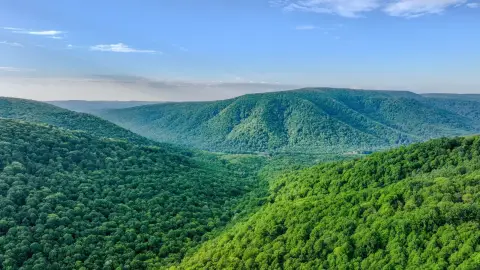 Secluded Recreational Timberland Near Ohiopyle
