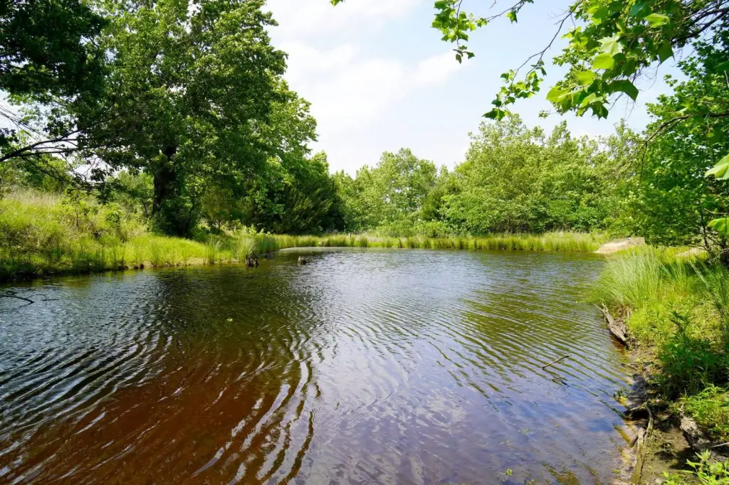 Picture 8