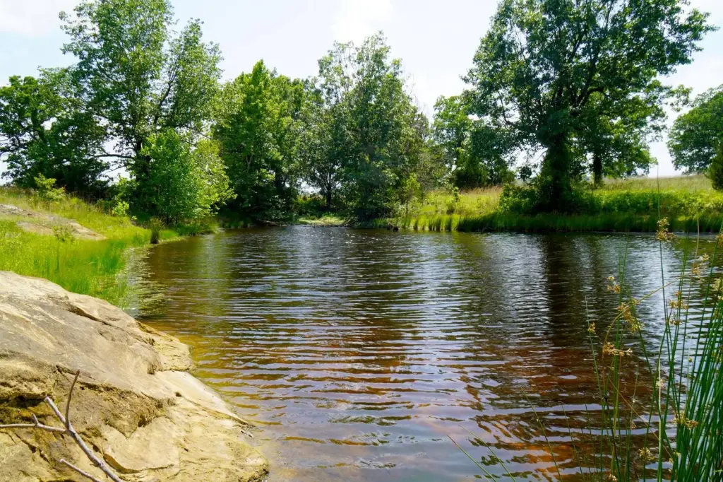 Picture 9