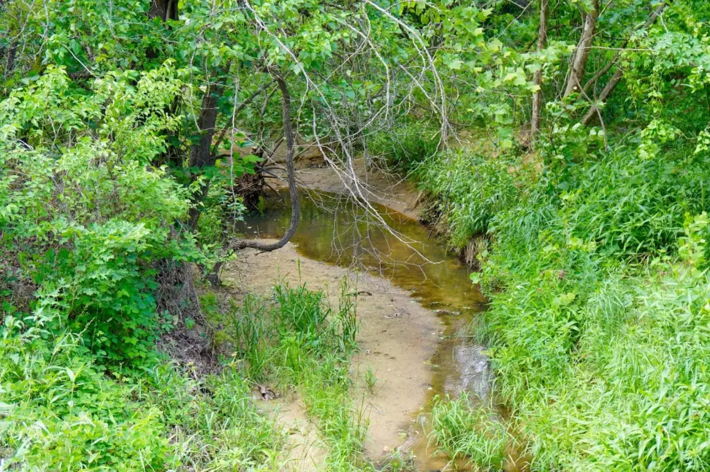 Picture 3