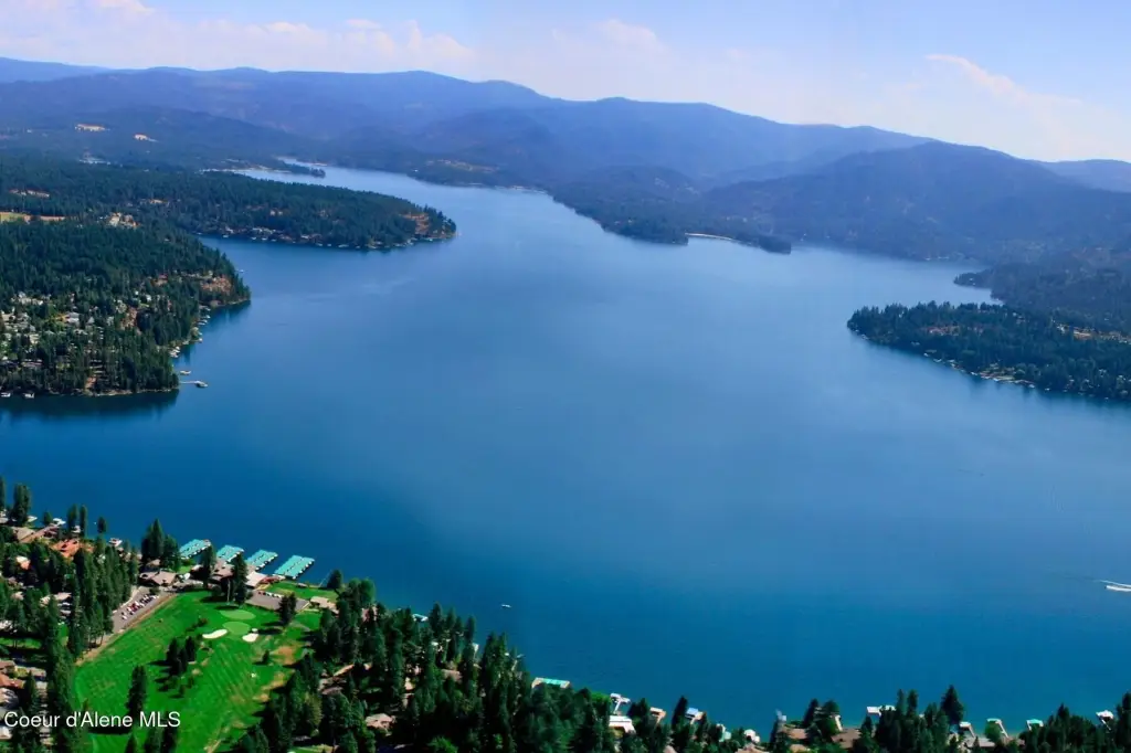 Picture 19