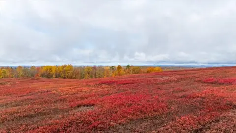 Palermo Land with Scenic Views