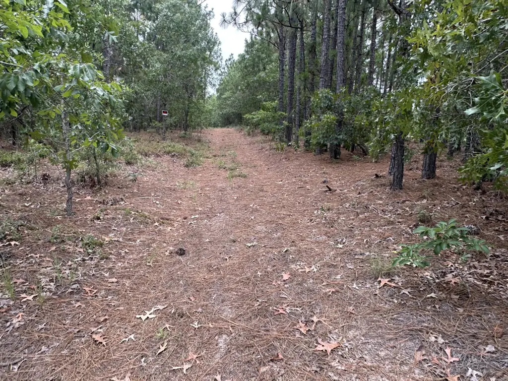 Picture 4