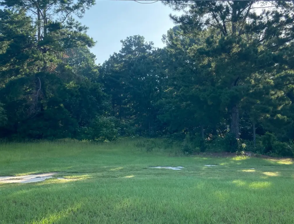 Picture 2
