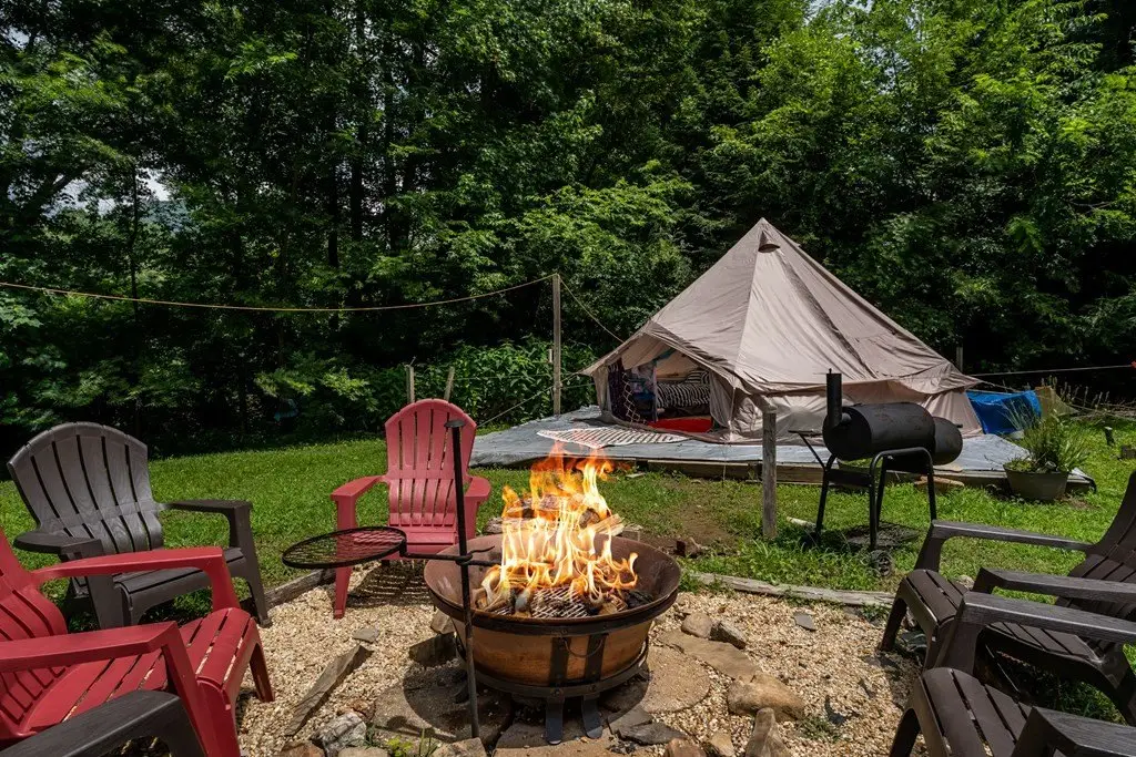 Picture 12