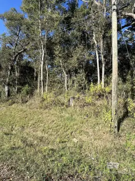 Theodore Land Near I-10