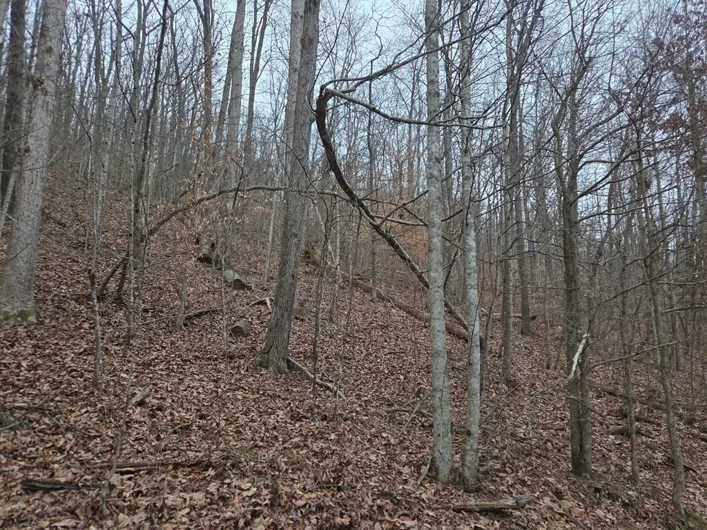 Picture 3