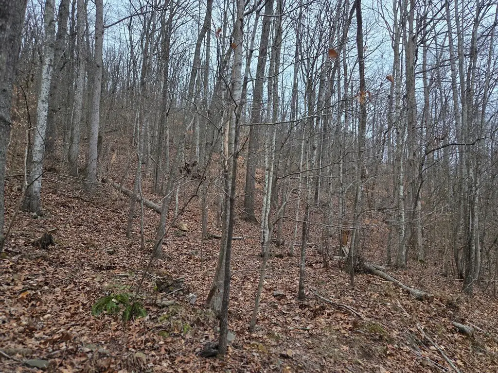 Picture 4