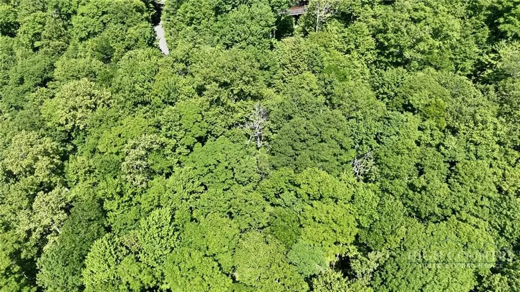 Picture 30
