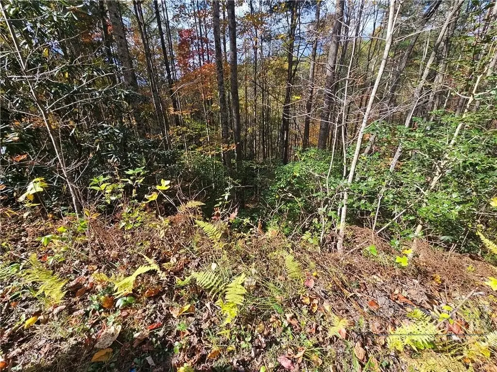 Picture 17