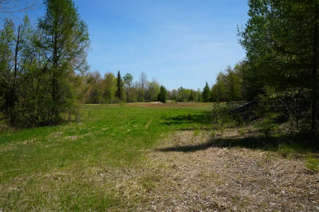 Picture 18