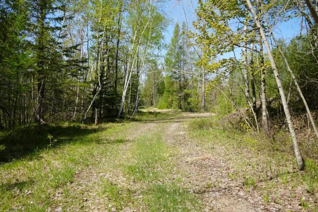Picture 8