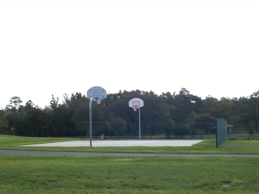 Picture 3
