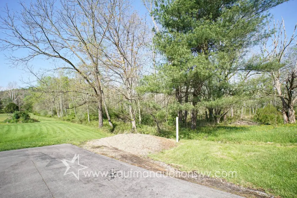 Picture 15