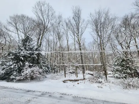 Wooded Lot in Penn Forest