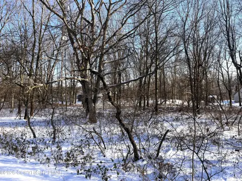 Land in Penn Forest Streams