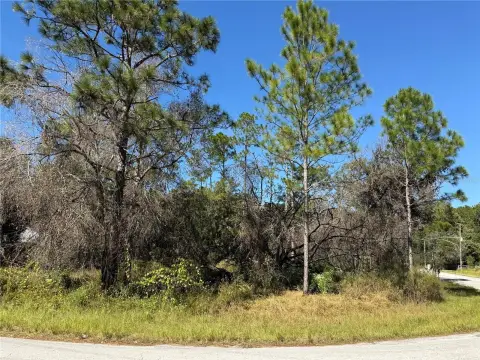 Wesley Chapel Acreage Homesite
