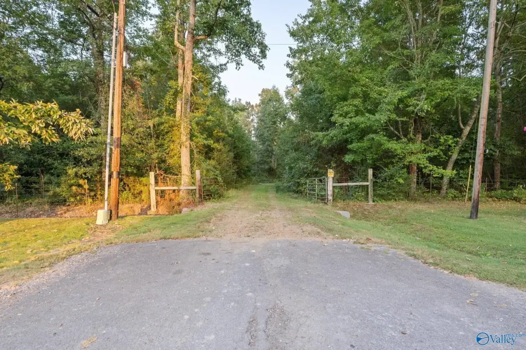 Picture 15