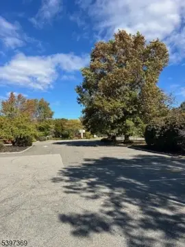 Mount Arlington Commercial Property For Rent