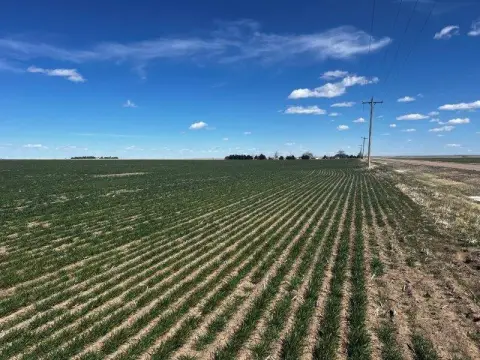 Saint Francis Vacant Land Available