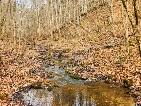 Land in Elk Restoration Zone