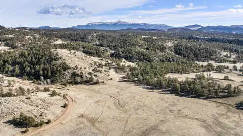 Expansive Vacant Land Near Florissant