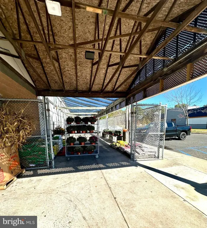 Picture 6