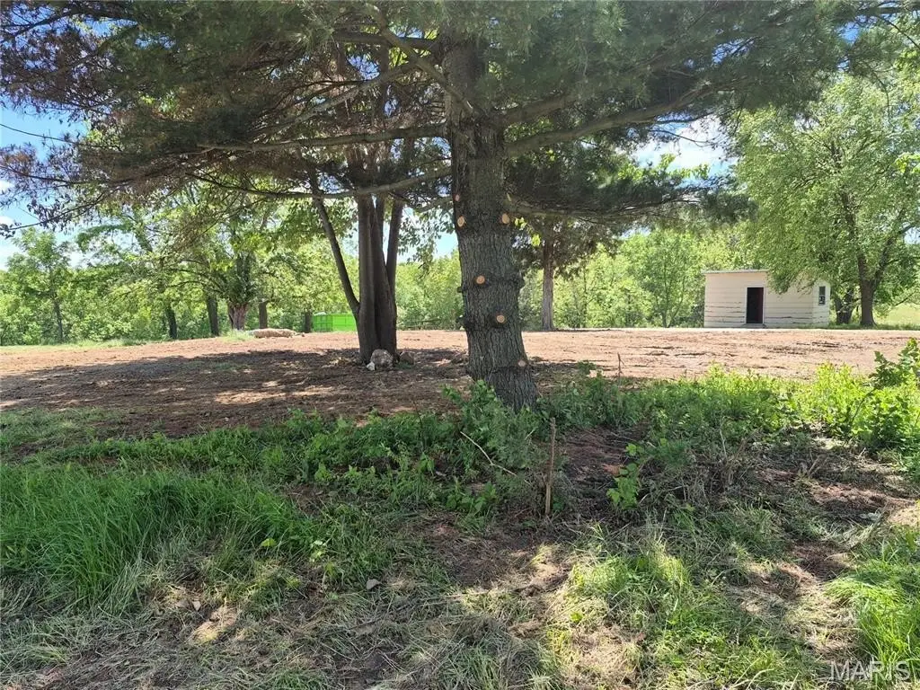 Picture 29
