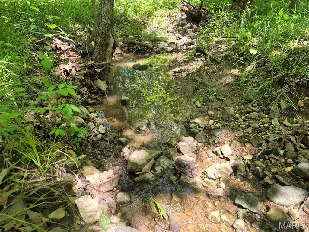 Picture 13