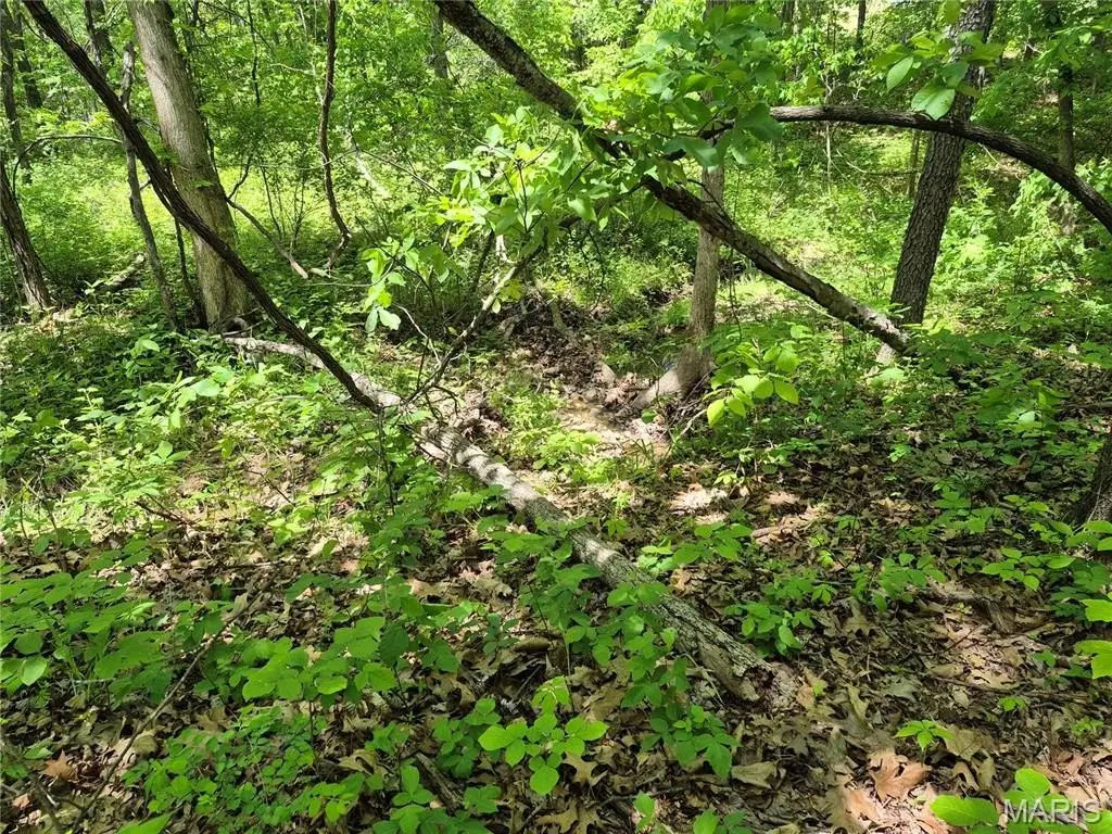 Picture 24