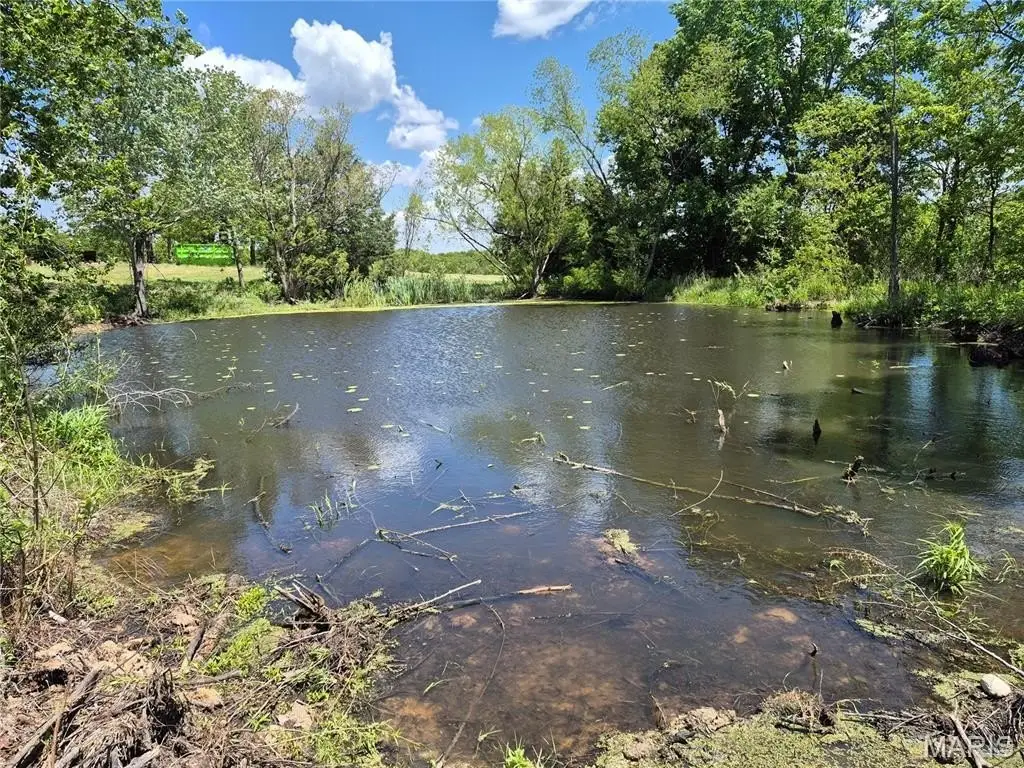 Picture 20