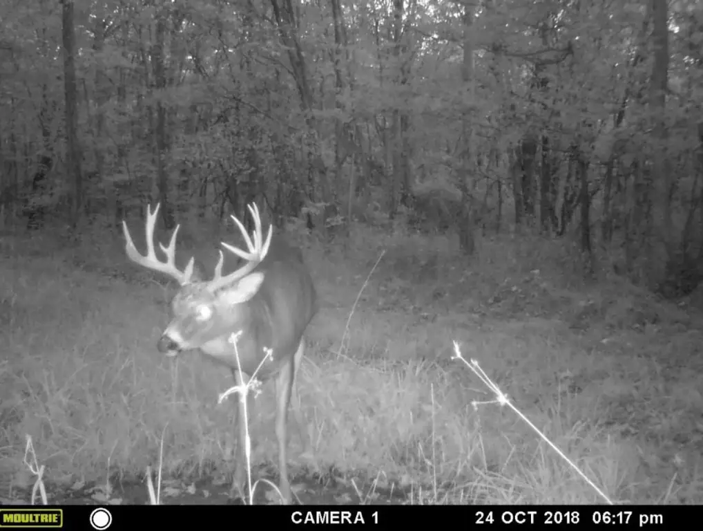 Picture 3