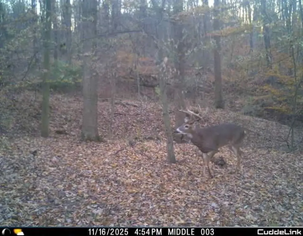Picture 6