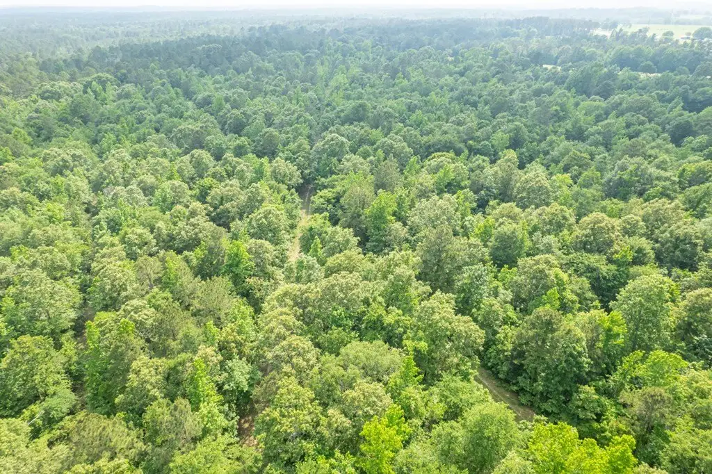Picture 34