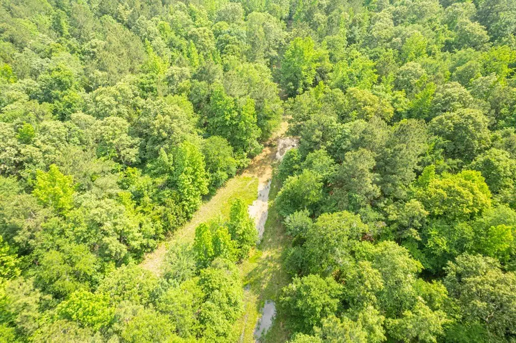 Picture 33