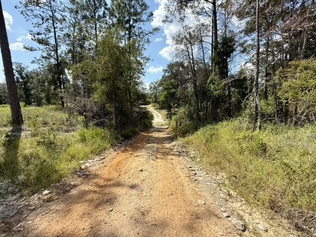 Picture 21