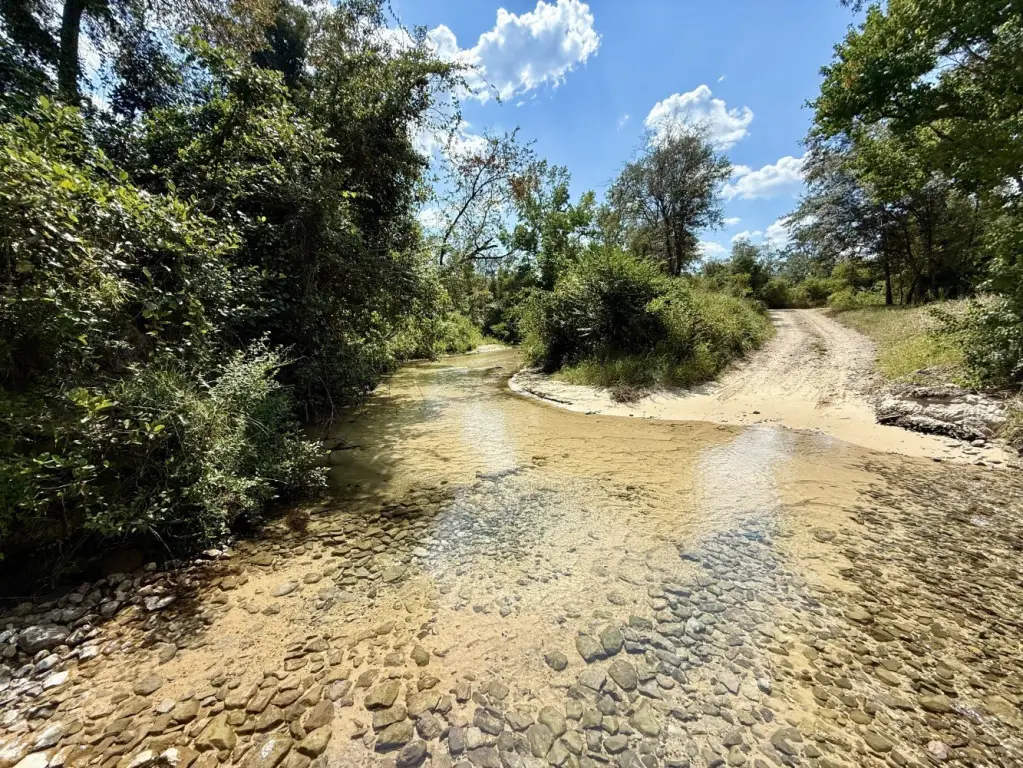 Picture 23